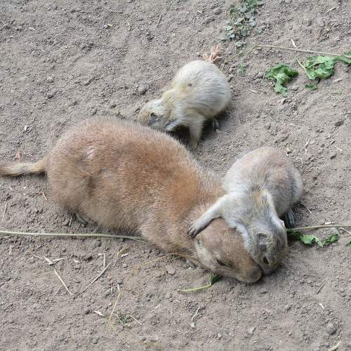 Photo #9556338