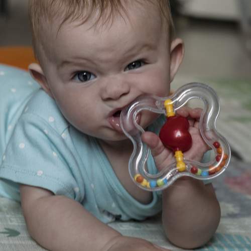 Photo #9556493