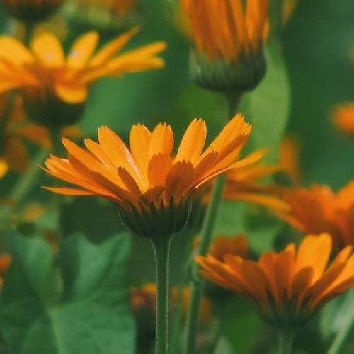 Photo #9556752