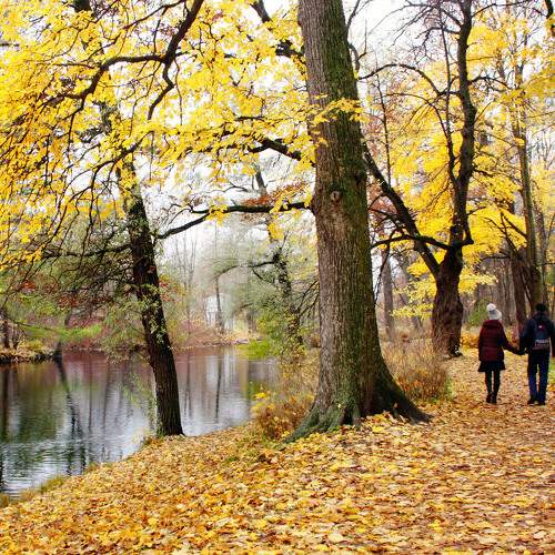 Photo #9556777