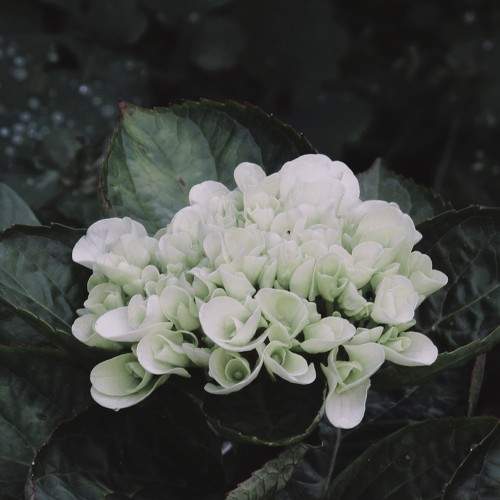 Photo #9556787