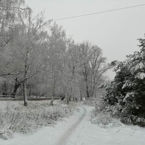Photo #9556789