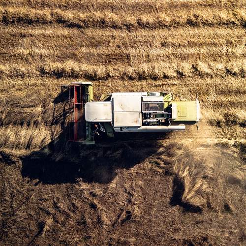 Photo #9556936