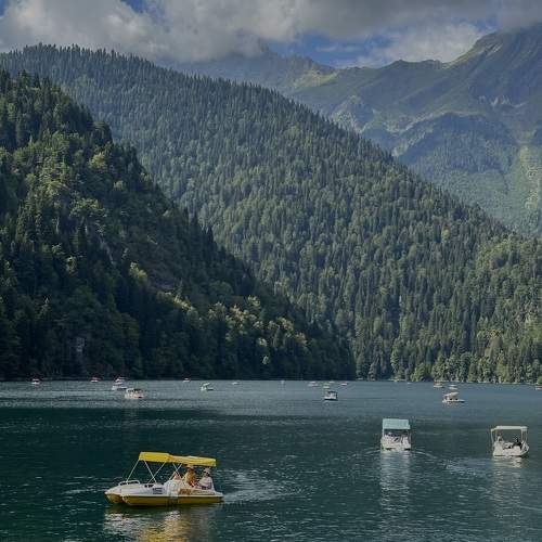 Photo #9556995