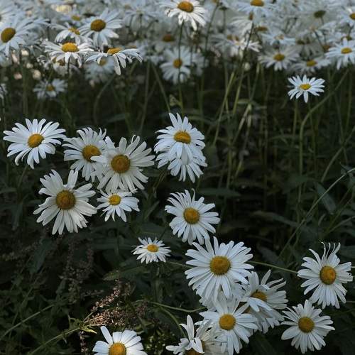Photo #9557064