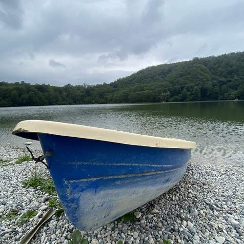 Photo #9557176
