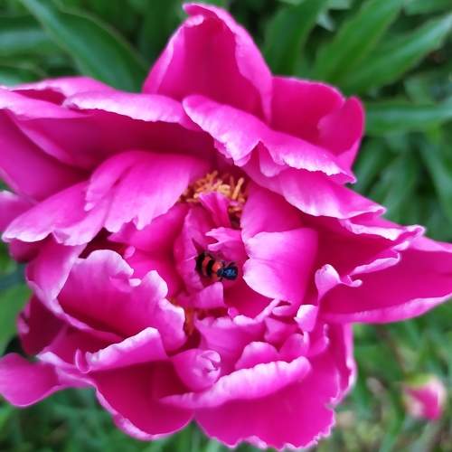 Photo #9557347