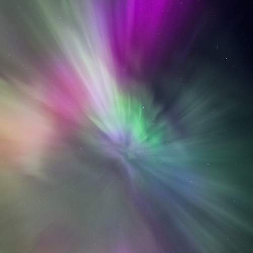 Photo #9557549