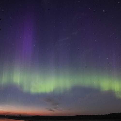 Photo #9557550