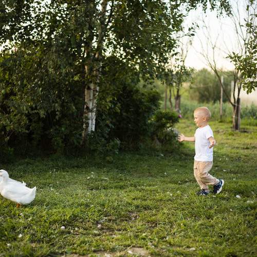 Photo #9557758