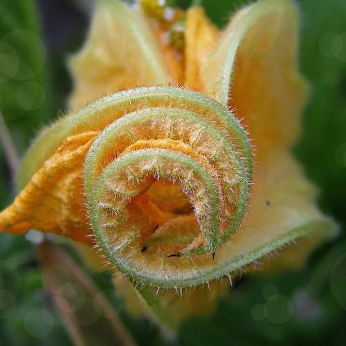 Photo #9557897