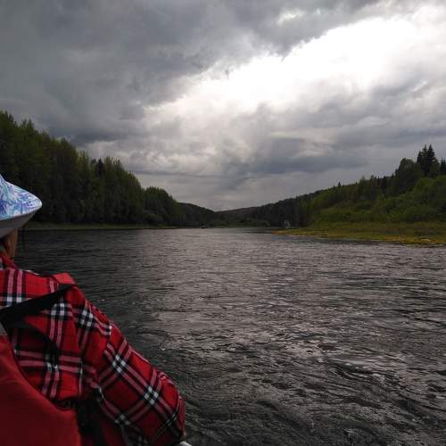 Photo #9558566