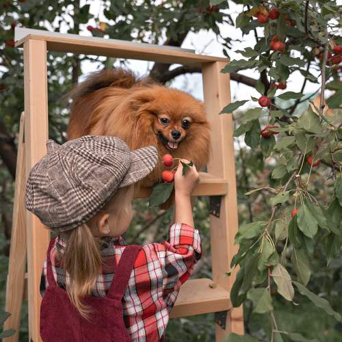 Фотография #9558622