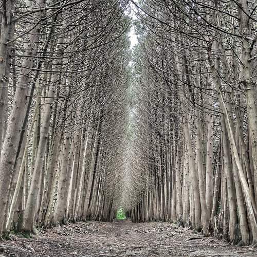 Photo #9558956