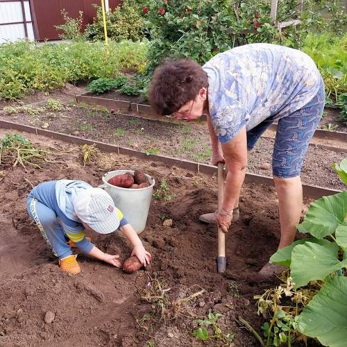 Photo #9559127