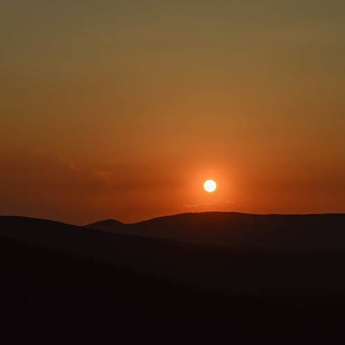 Photo #9559221