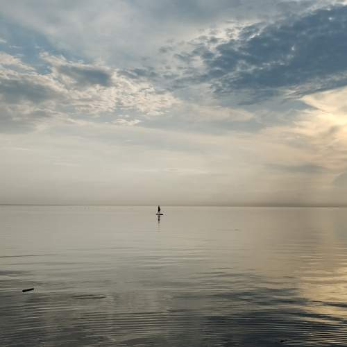 Photo #9560236
