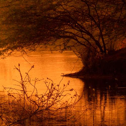 Photo #9560386