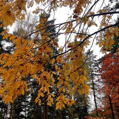 Photo #9560906