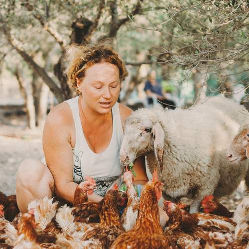 Photo #9561278