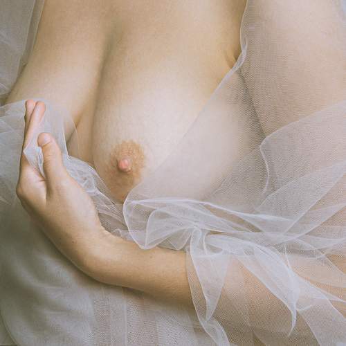 Photo #9561413