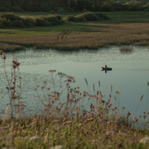 Photo #9561516
