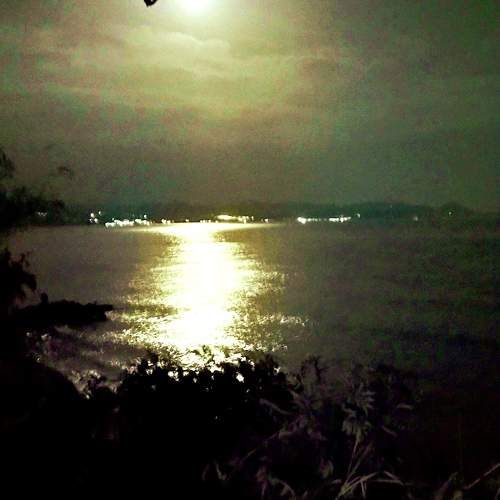 Photo #9561636