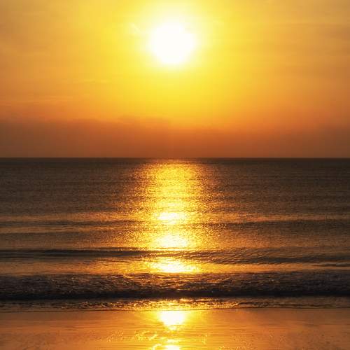 Photo #9561713