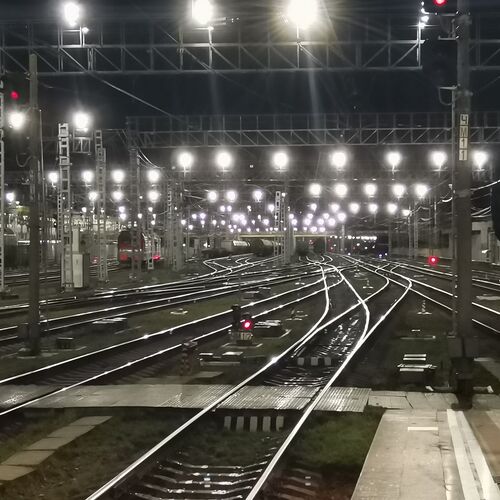 Photo #9561790