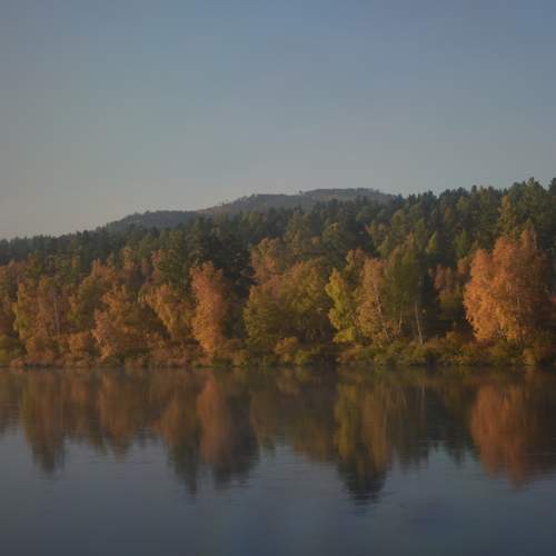 Photo #9561914
