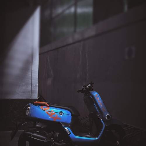 Photo #9562042