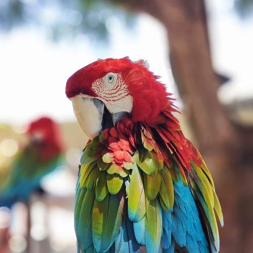 Photo #9562051