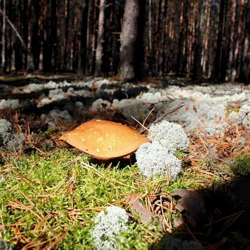 Photo #9562068