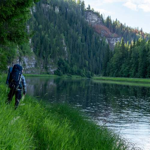 Photo #9562206