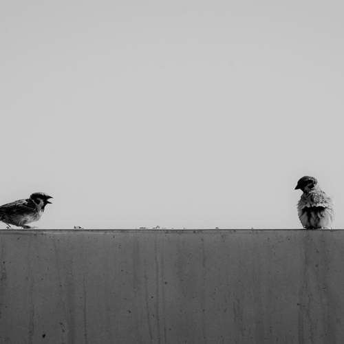 Talking about.