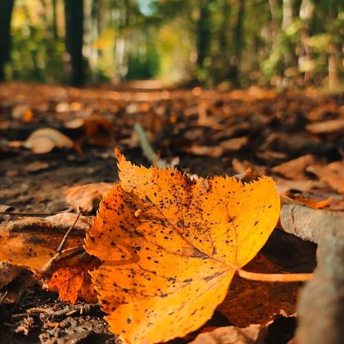 Photo #9562437