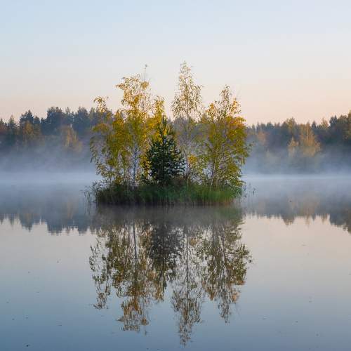 Photo #9562538