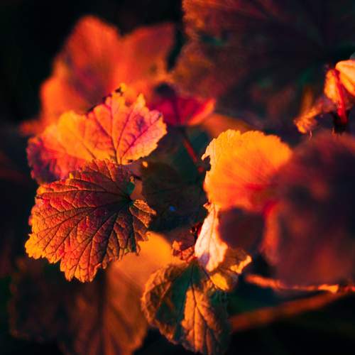 Photo #9563138