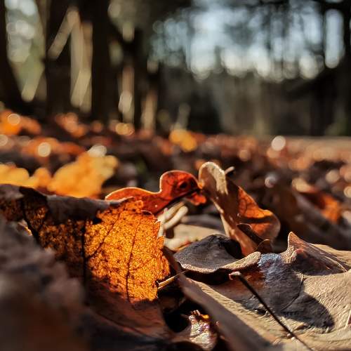 Photo #9563281