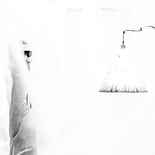 Photo #9563451