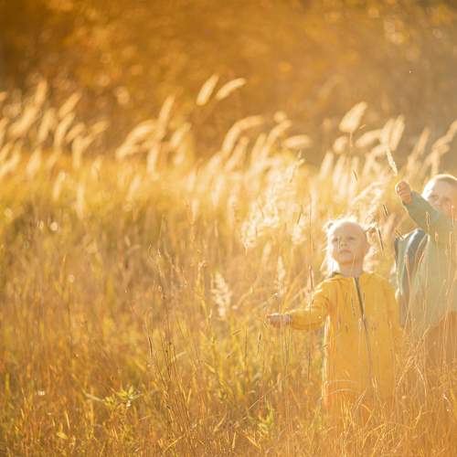 Photo #9563691