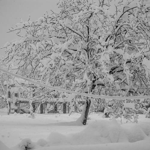 Photo #9563784