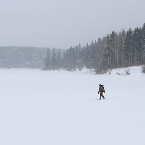 Photo #9563850