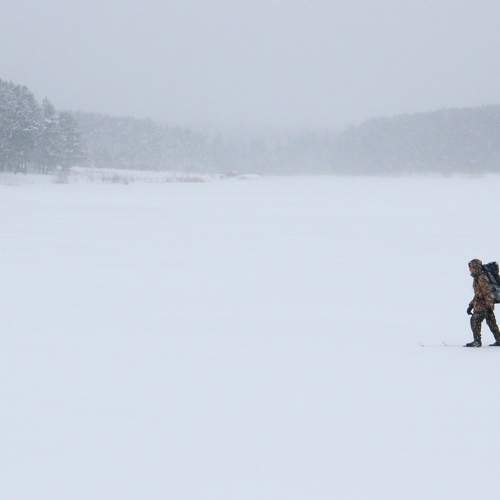 Photo #9563851