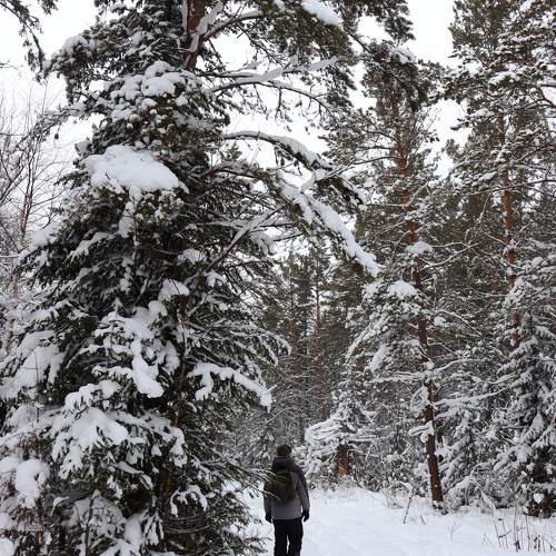 Photo #9563856