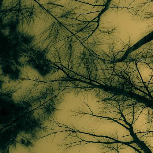Photo #9564275