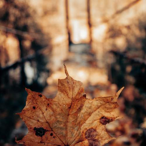 Photo #9564325