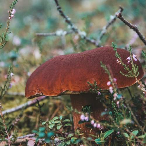 Photo #9564344