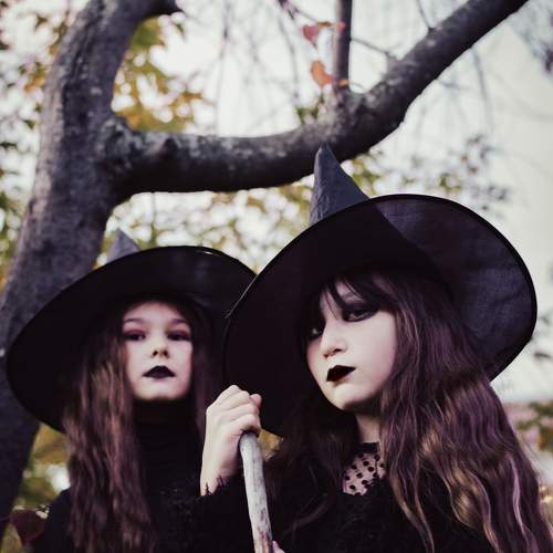 Photo #9564609