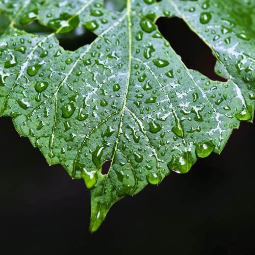 Photo #9564638